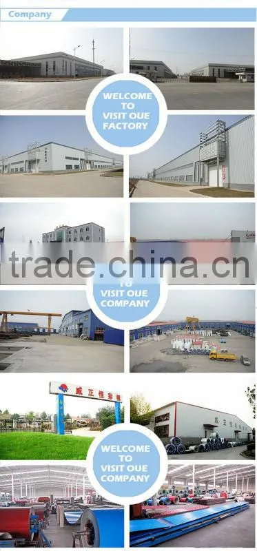 Weizhengheng color coated steel coil EN10169 pre painted ppgi coil/color steel coil