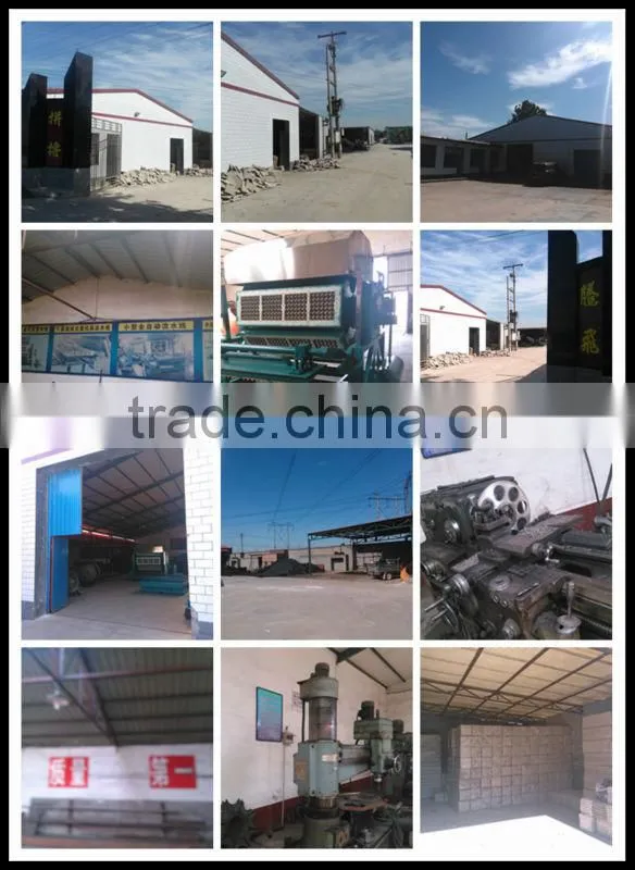 price competitive small egg tray machinery account factory