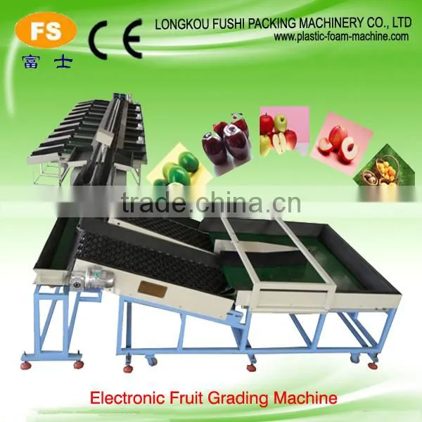 Automatic Sorting Machine