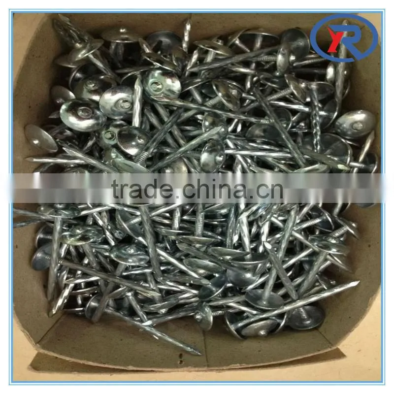 Umbrella head roofing nails and construction nails