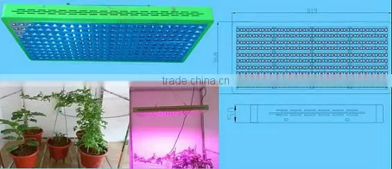 Hydroponics/agriculture grow light supply led 720w power lighting