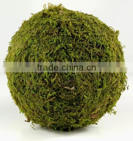 Handicraft Moss Ball
