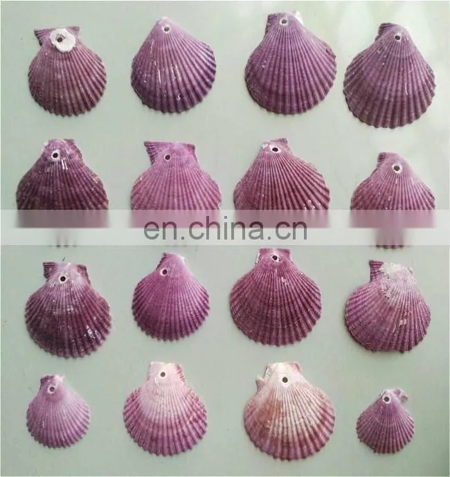 DIY natural seashell color style charm shell accessories for jewelry finding
