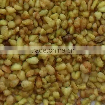 bitter buckwheat