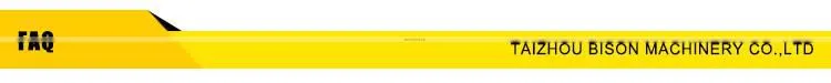 BISON China Electric Pressure Washer 200bar Electric Home High Pressure Cleaner