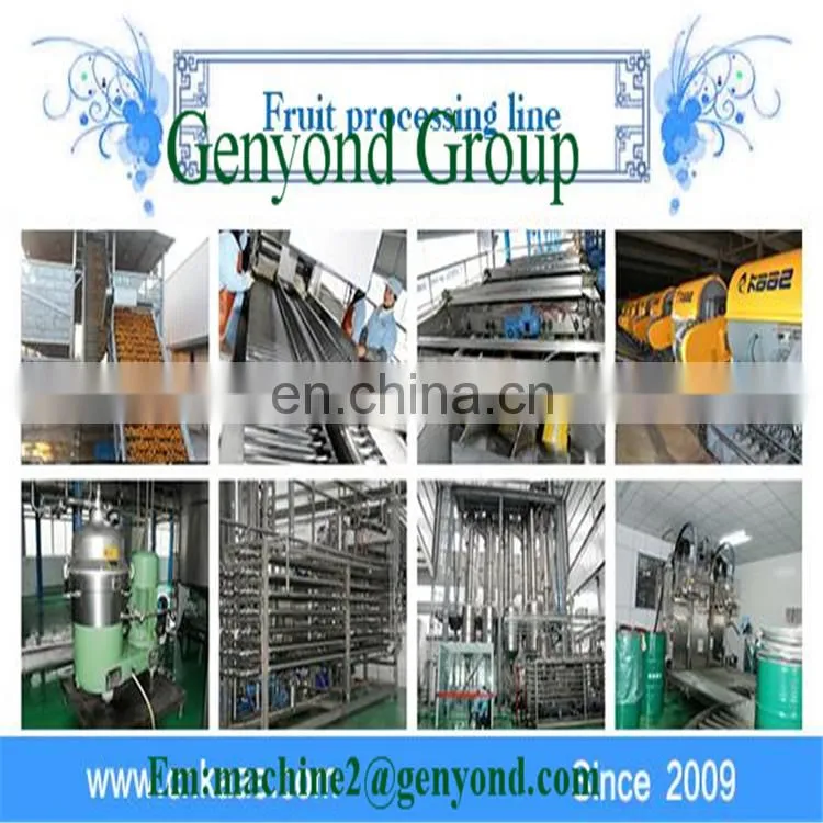 Complete Mango Bar Making Machines