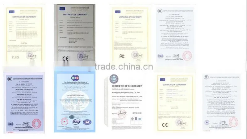 Passed CE,ROSH,Input Voltage AC110-220V American charger led light