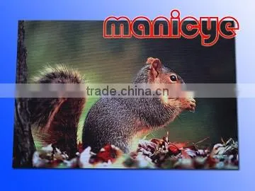 Printing nonwoven felt