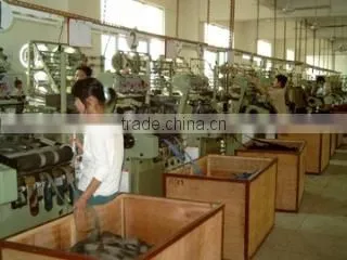 Shenzhen Haoheli Webbing Co., Ltd. company overview - view 2