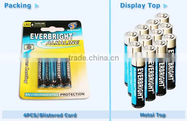 Big Factory produce Zinc Manganese Dioxide 1.5v battery aaa/lr03/am-4