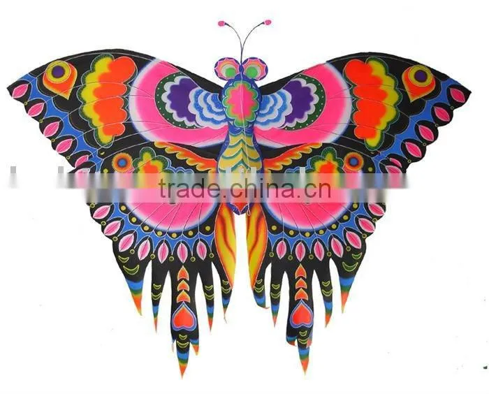 traditional Chinese kite
