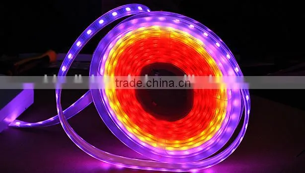 Dream color LED strip light