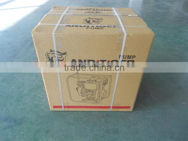 hot sale china supplier 5hp diesel engine water pump