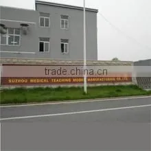Suzhou Medical Teaching Model Co., Ltd. company overview - view 2