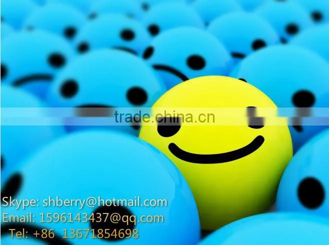 Shanghai Berry car wash equipment prices