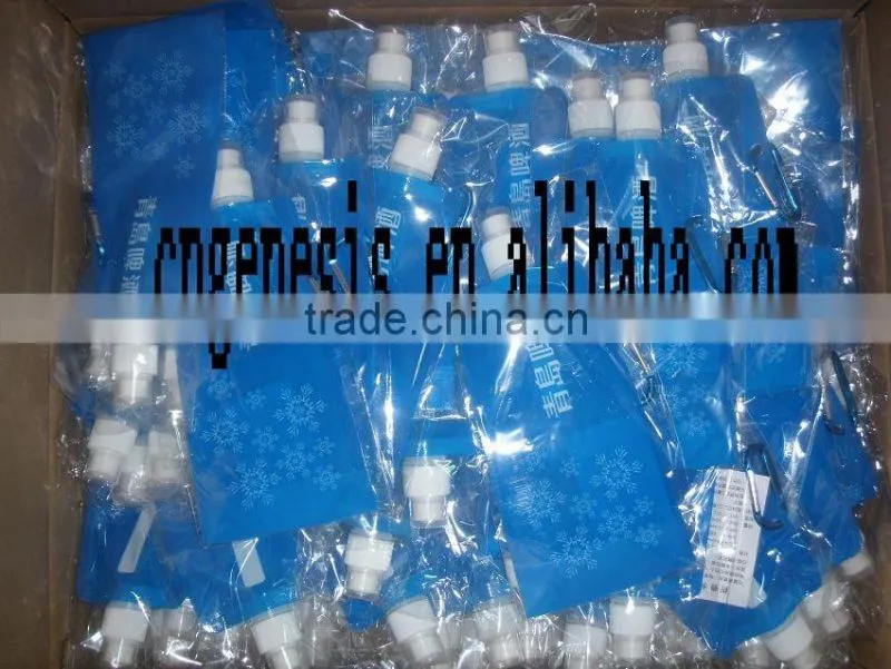 2011 New Promotion Soft water Bag