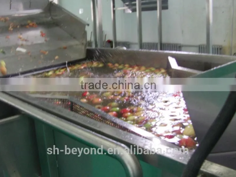 Complete Peach Fruit Processing Line