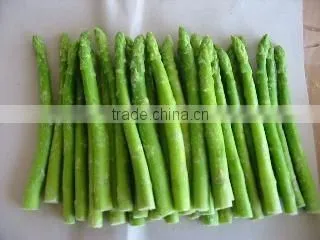 IQF Fresh Green Asparagus from China