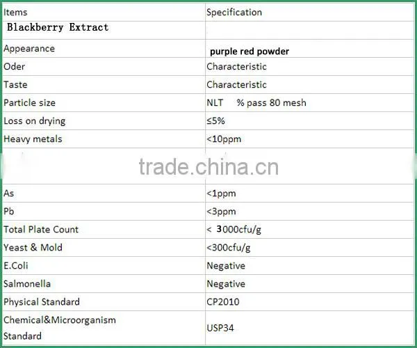 Nice Nutritonal Herbal Extract Anti-oxidant Blackberry Extract Powder with Anthocyanidins 25% ,Anthocyanins 1-25%