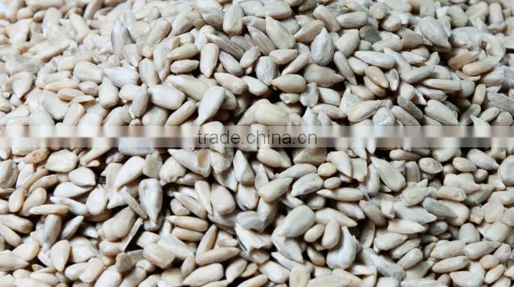 New crop good quality sunflower meal
