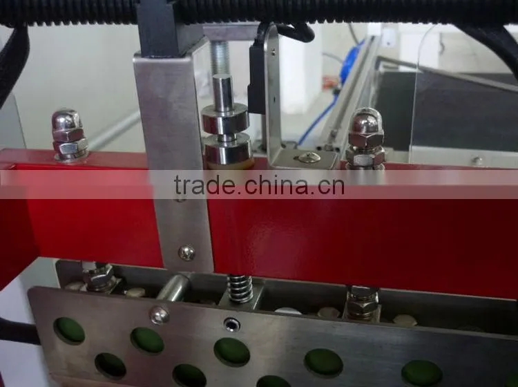 2015 Best seller vacuum packing machine for Charcoal