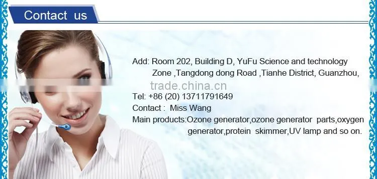 Multifunction ozone generator ceramic tube 220v 50hz for vegetable