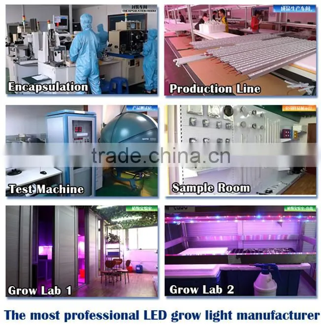 2017 new grow lights for pot,par 38 led grow light,led mini par lights
