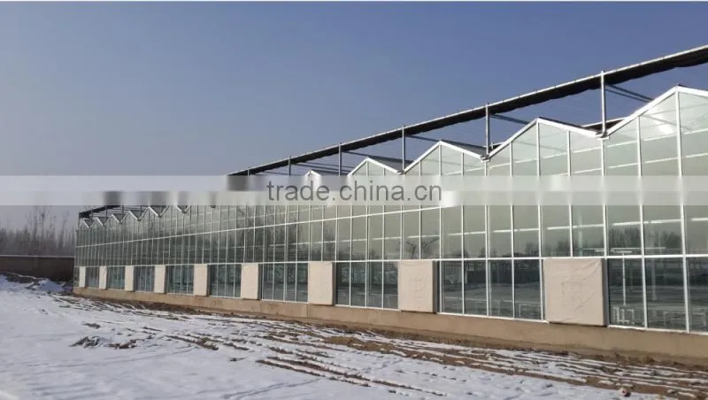 Commercial glass greenhouse for sale