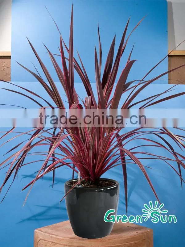 ceramic glazed flower pots