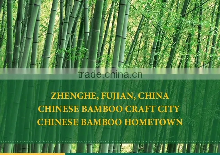 Latest design superior quality baby bamboo bowl