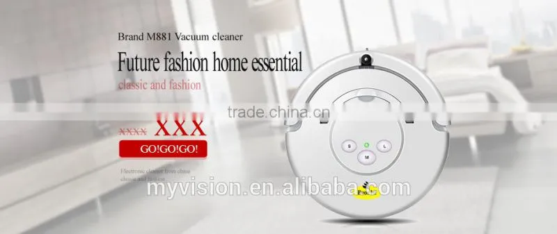 Outdoor vacuum cleaner with vacuum cleaner motor and road sweeper brushes
