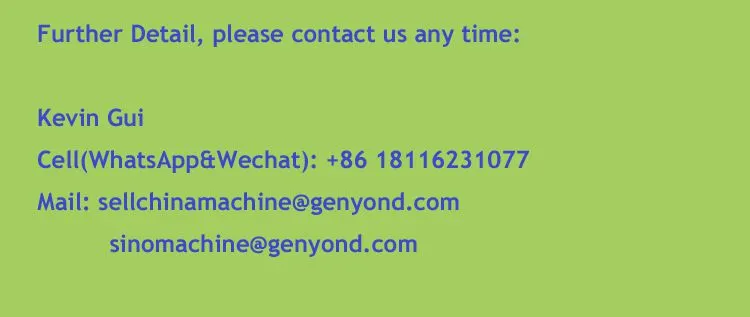 Vegetable Washing Cleaning and Rushing Machine