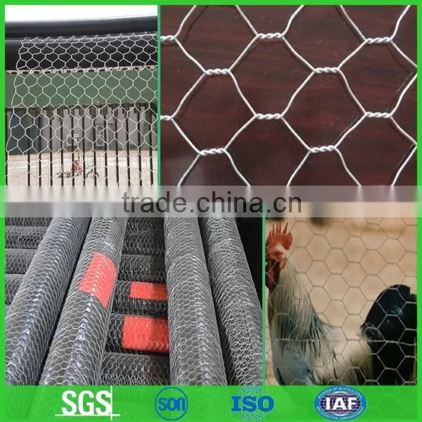 Electric galvanized hexagonal wire mesh for chicken house