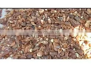 Mini Pine Nut Sheller 0086-13592627742