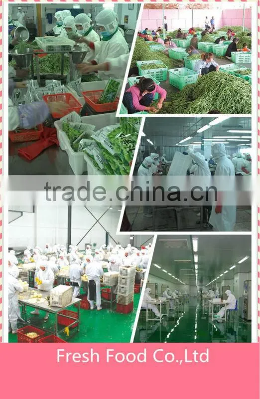 Newly crop wholesale about canned peas