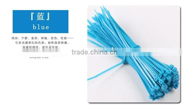 Heat Resisting Nylon 66 Cable Ties