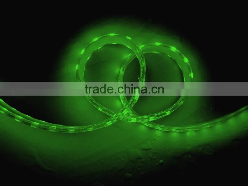 60leds flexible 5050 addressable rgb led strip waterproof 24v CE&RoHS