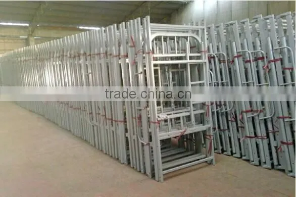 Wholesale price School furniture dormitory apartment white metal cheap bunk bed frames