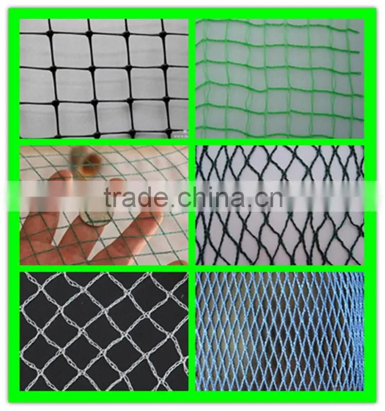 Henan Suntex supply virgin HDPE extruded anti bird net/ knitted anti bird net for fruit protection