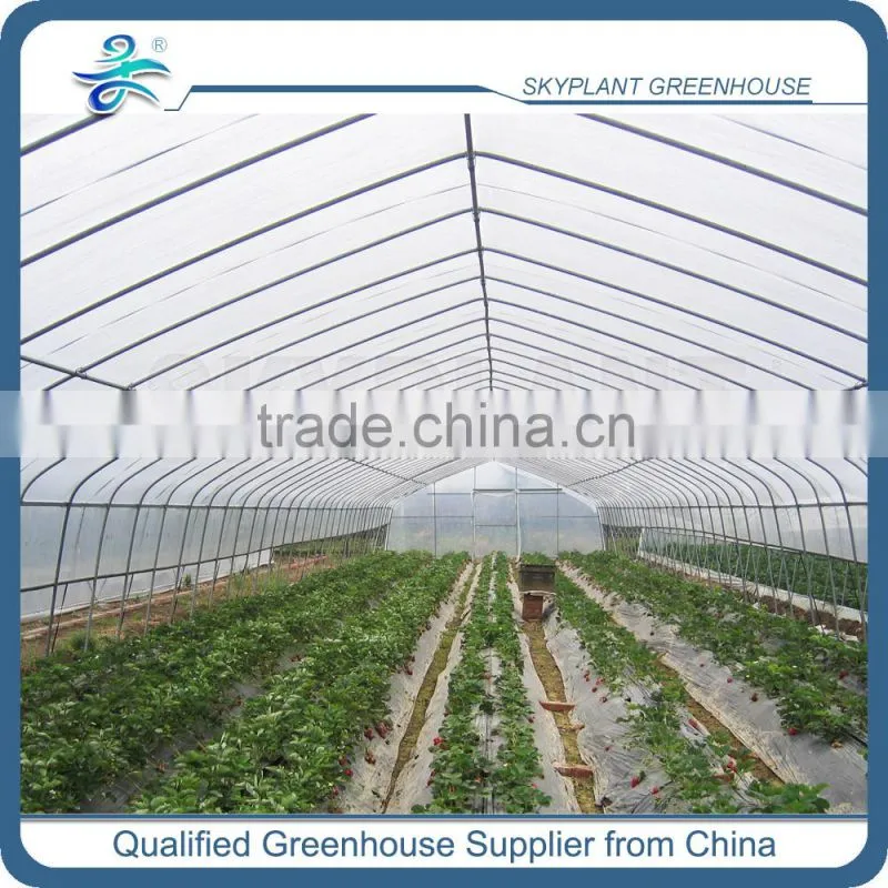 Single Span Tunnel Plastic Film Greenhouse