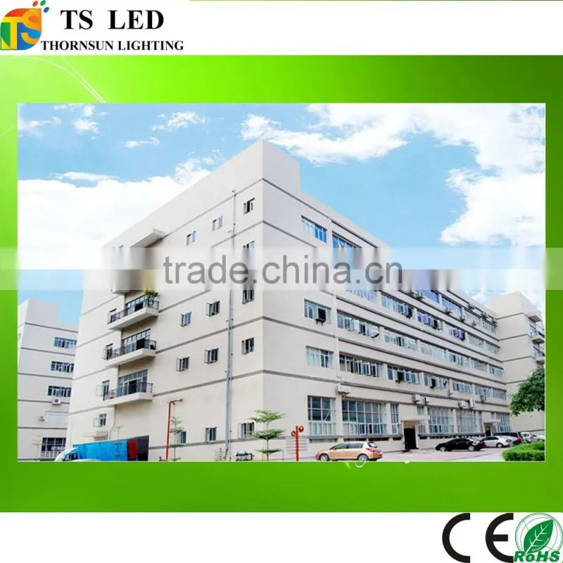 IP20 IP65 addressable flexible led strips ws2812b 60 leds/m