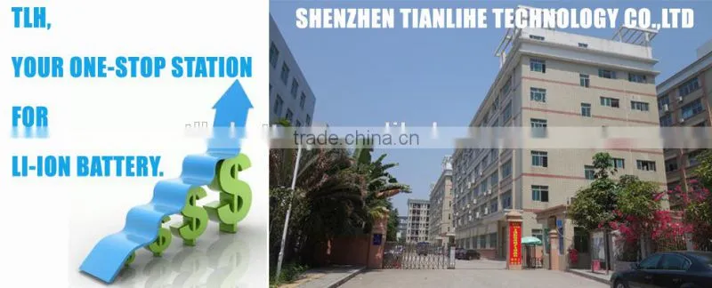 12v 4ah li ion battery for GPS tracker