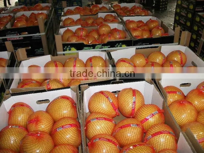 Hot Sell Fresh Pomelo, Honey Pomelo