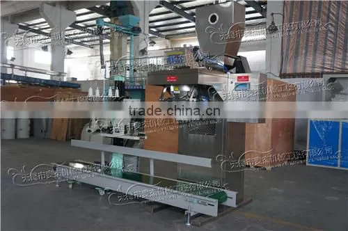 Packing Machine for Calcium Carbonate Powder