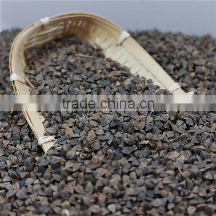 2016 new crop High Quality raw Buckwheat price