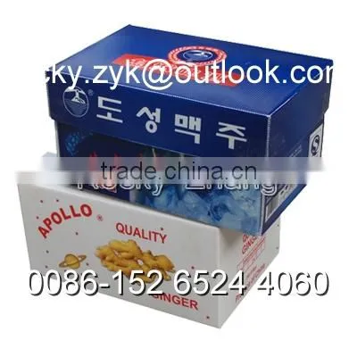 corrugated PP Apple packing case fruit storage carton packaging box