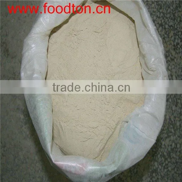 wheat gluten