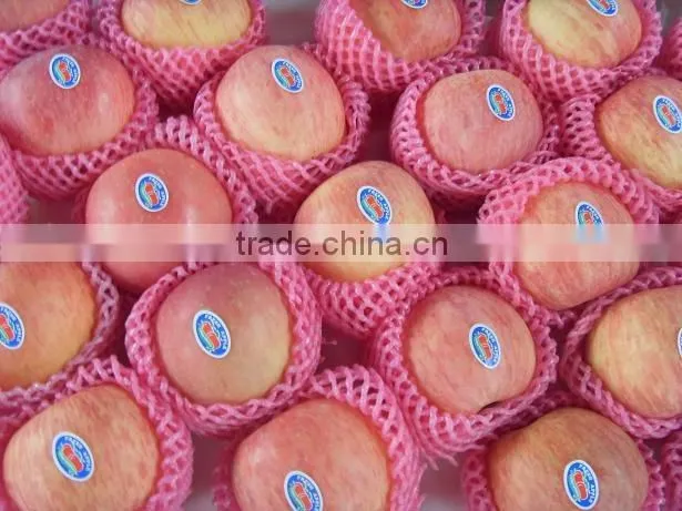 Fuji Apple China