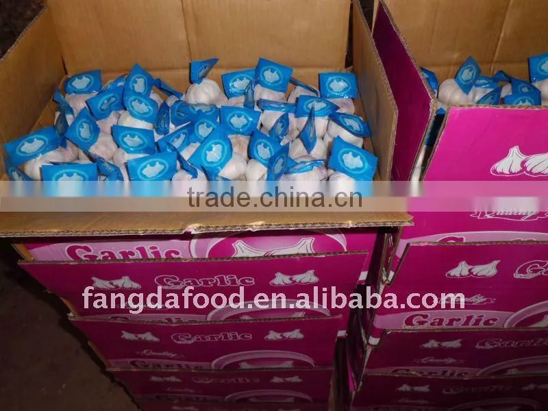 Chinese fresh normal white garlic(10kg/20kg carton)