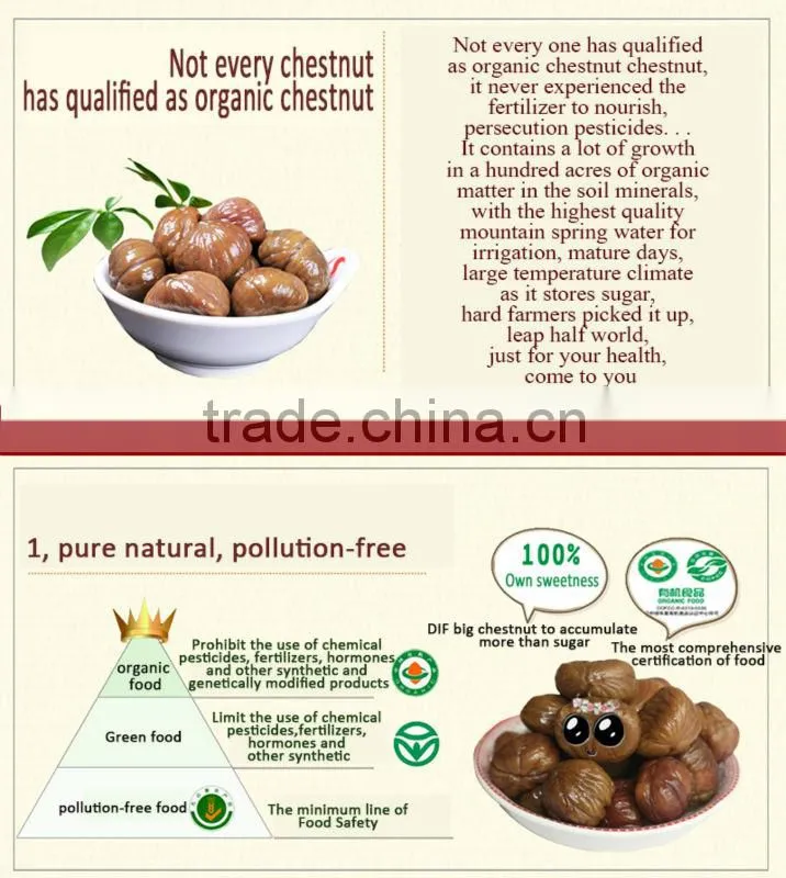 Chinese chestnuts for sale---Best Fresh Chestnut in the world